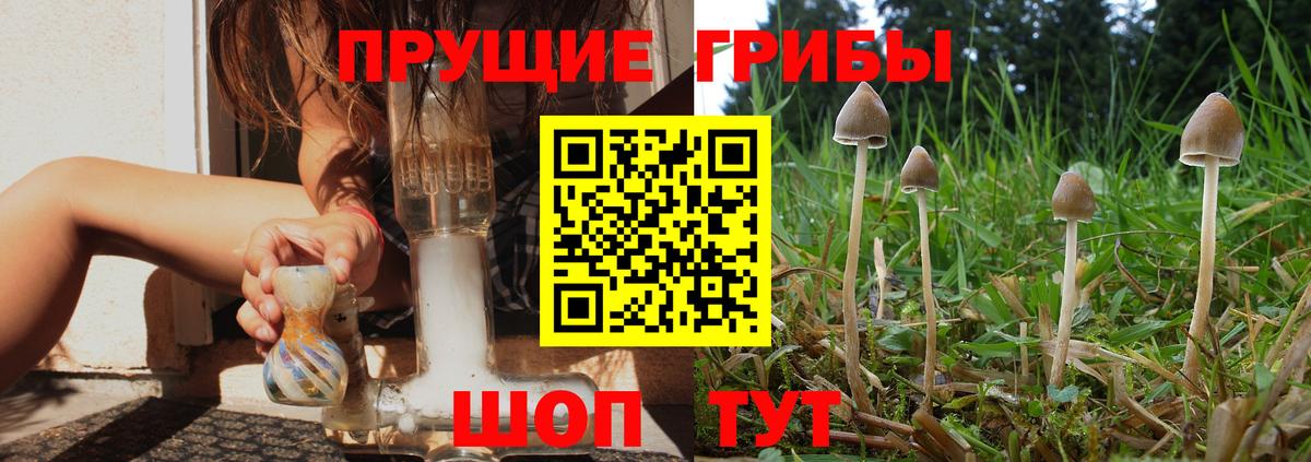 Псилоцибиновые грибы MAGIC MUSHROOMS Курчатов