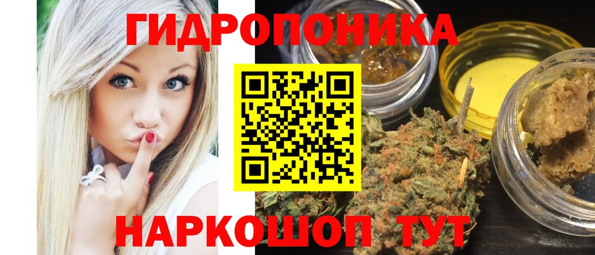 Шишки марихуана Ganja Курчатов